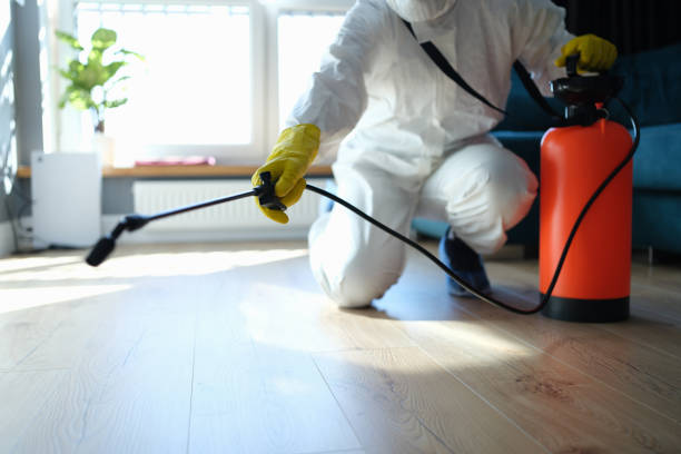 Reliable Hoarding Cleanup contractor in Fort McCoy, FL by Trauma Clean Pros